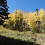 OTRA_2016_0357 (October 05, 2016)